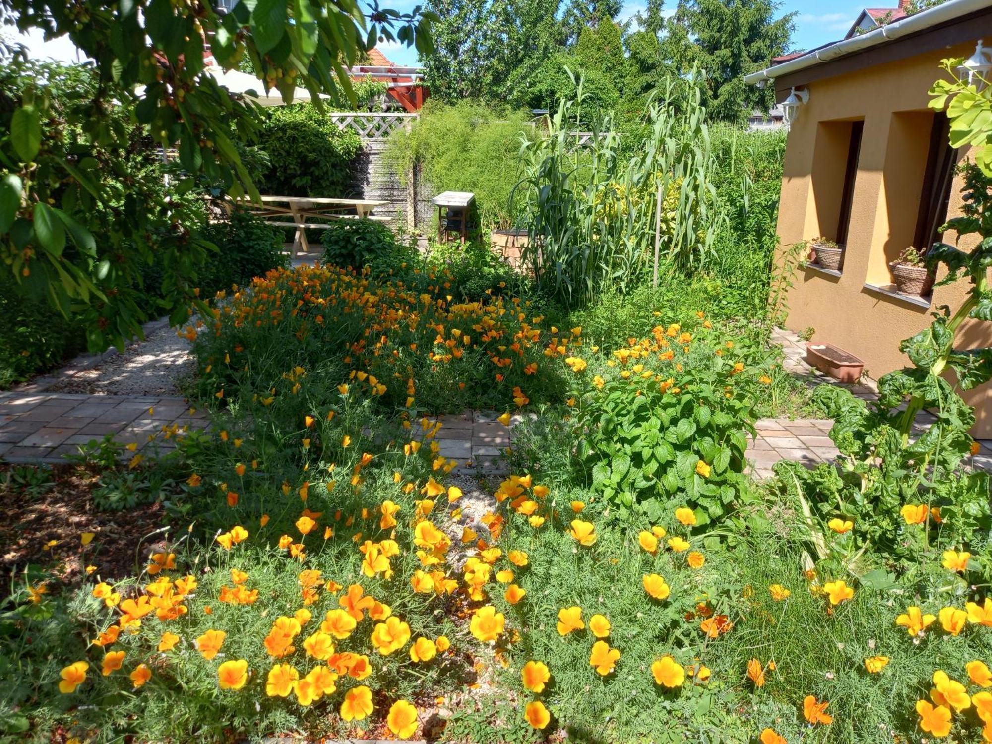 Jázmin-Szieszta Apartmanház Balatonfüred Exterior foto